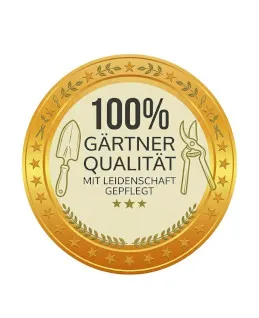  100 {03786e5bcd215ae1b9c696050a390abd61db700c06f22a0fd65fe374b3ed0cff} 